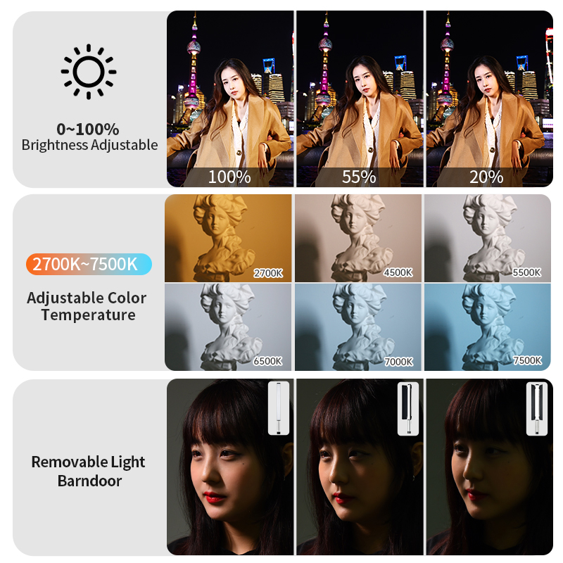 JINBEI EFT-220BI ハンドヘルドポータブルバイ - Photography Lighting Handheld のレビューと価格